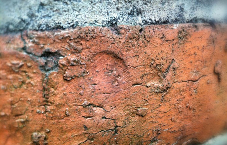 A thumbprint in a historic Durham brick.